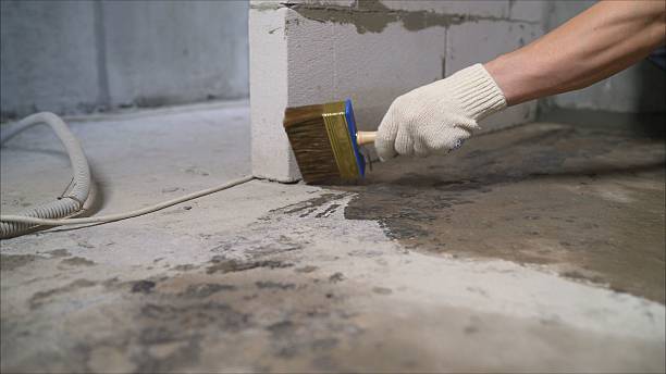 Top rated local Wet Basement Repair specialists in Vaughnsville, OH